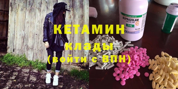 сатива Верея