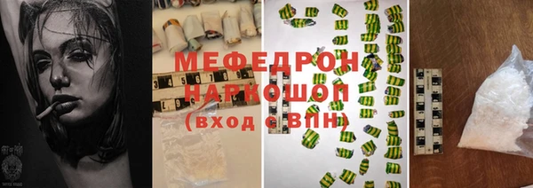 сатива Верея