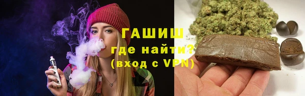 сатива Верея