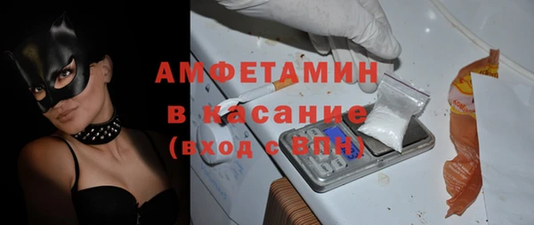 сатива Верея