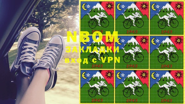 сатива Верея