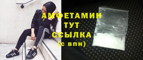 сатива Верея